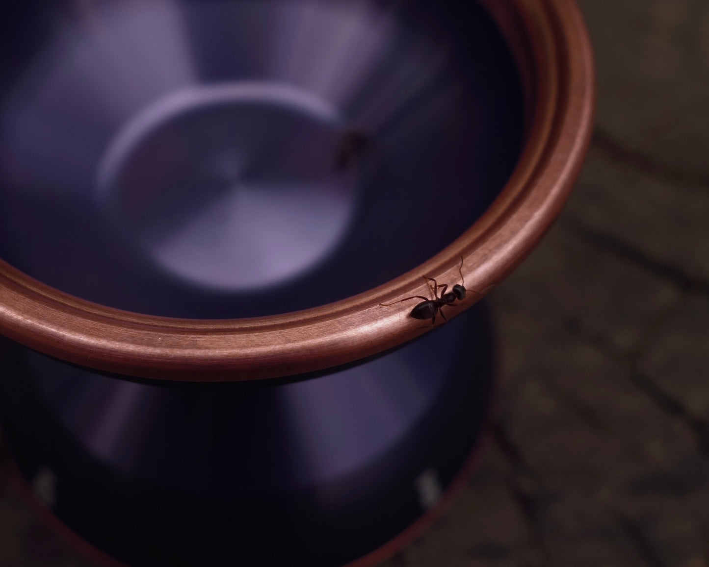 copper ZG