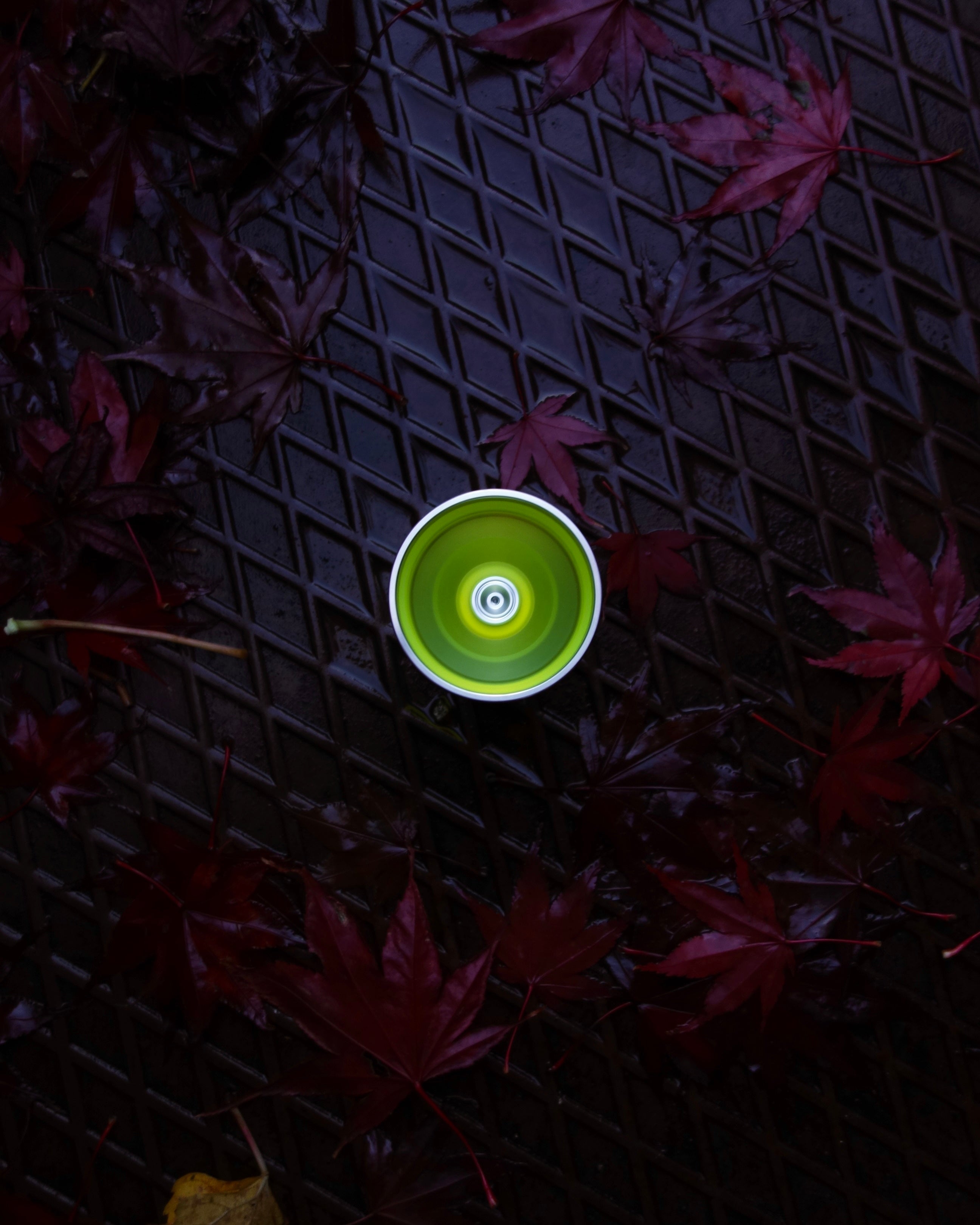 noir deux – empathy